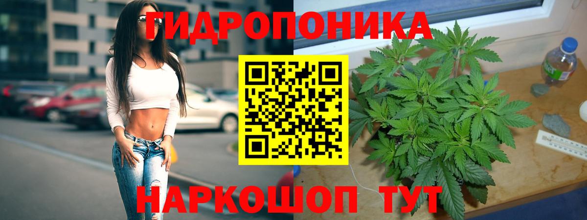 Шишки марихуана сатива Артём